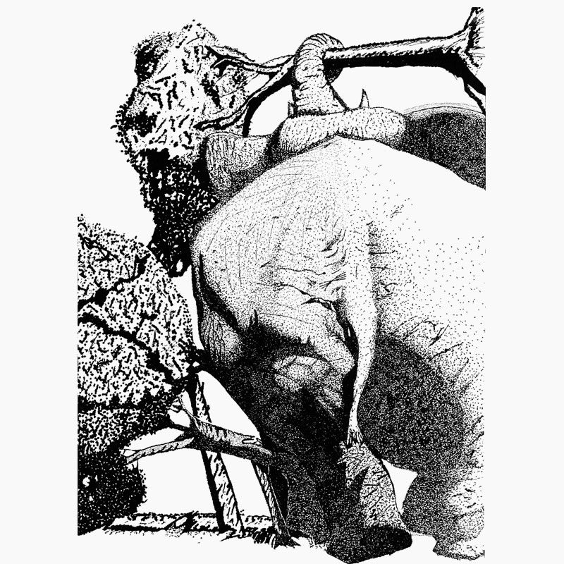 painting of elephant carrying a tree artist Mark Edward